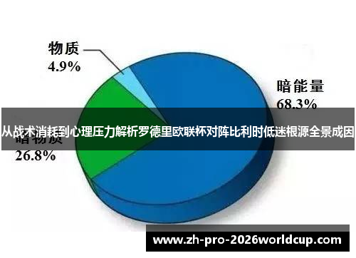 从战术消耗到心理压力解析罗德里欧联杯对阵比利时低迷根源全景成因