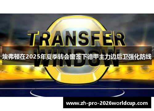 埃弗顿在2025年夏季转会窗签下德甲主力边后卫强化防线 埃弗顿在2025年夏季转会窗签下德甲主力边后卫强化防线