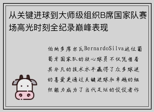 从关键进球到大师级组织B席国家队赛场高光时刻全纪录巅峰表现